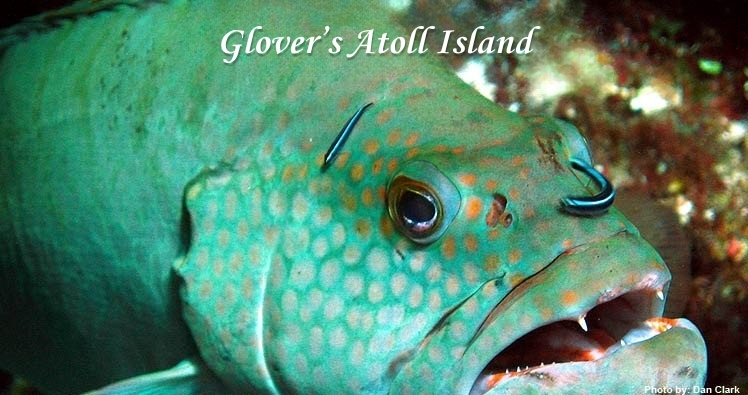 Belize, Belize travel, scuba diving, snorkeling, islands, islands in Belize, beachfront, 